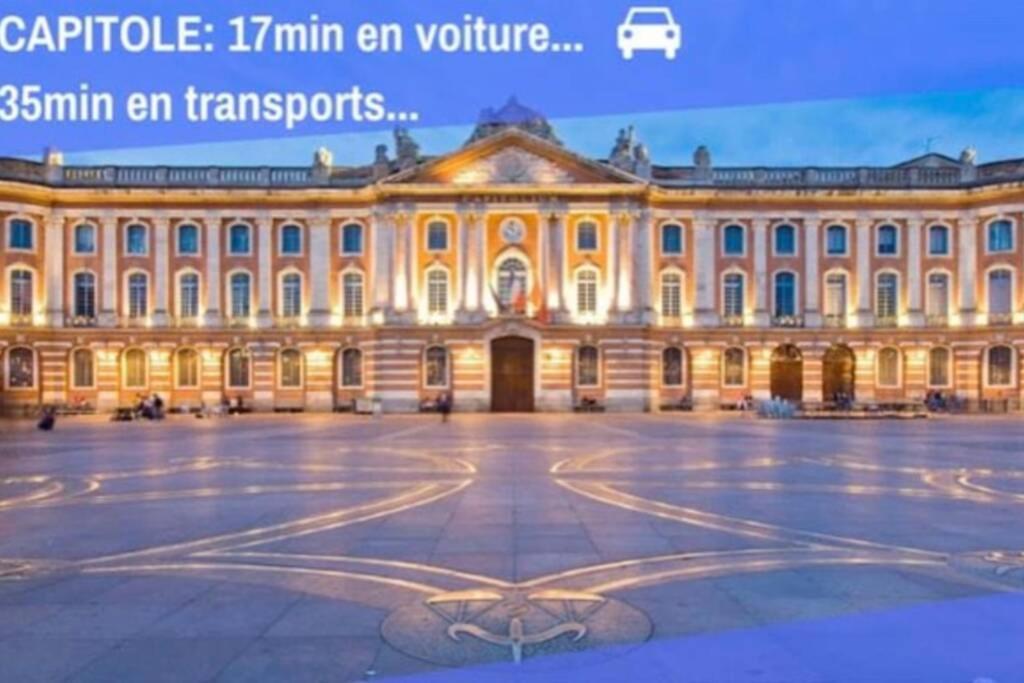 Appartement Cosy Avec Jardin A Blagnac. Εξωτερικό φωτογραφία