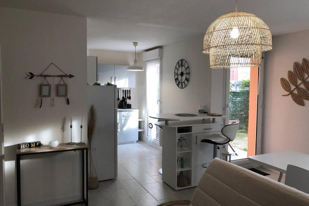 Appartement Cosy Avec Jardin A Blagnac. Εξωτερικό φωτογραφία