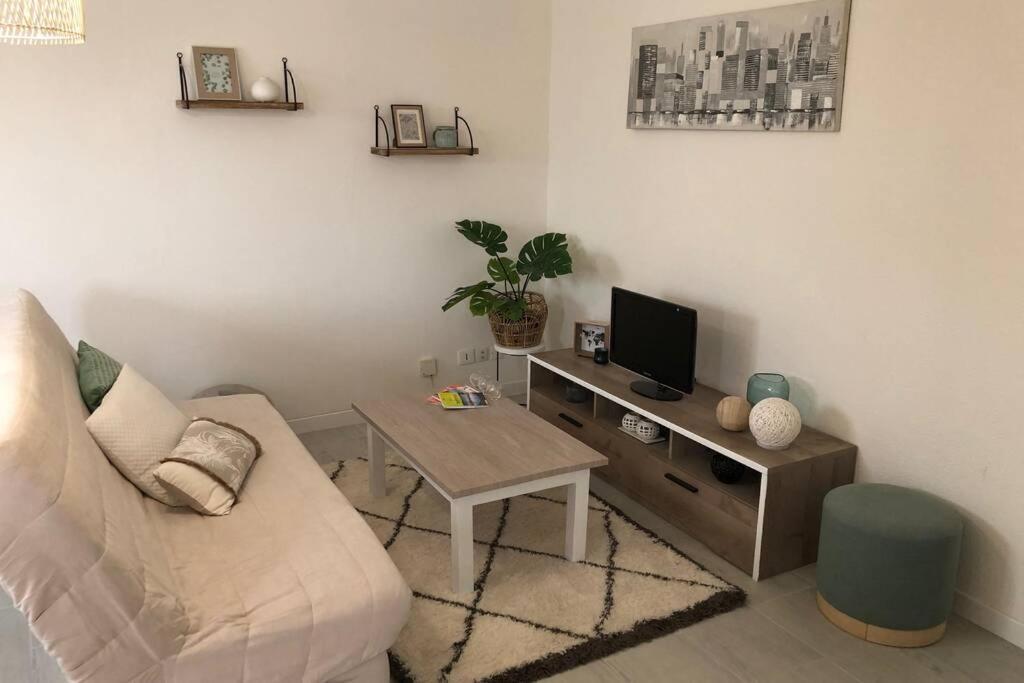 Appartement Cosy Avec Jardin A Blagnac. Εξωτερικό φωτογραφία
